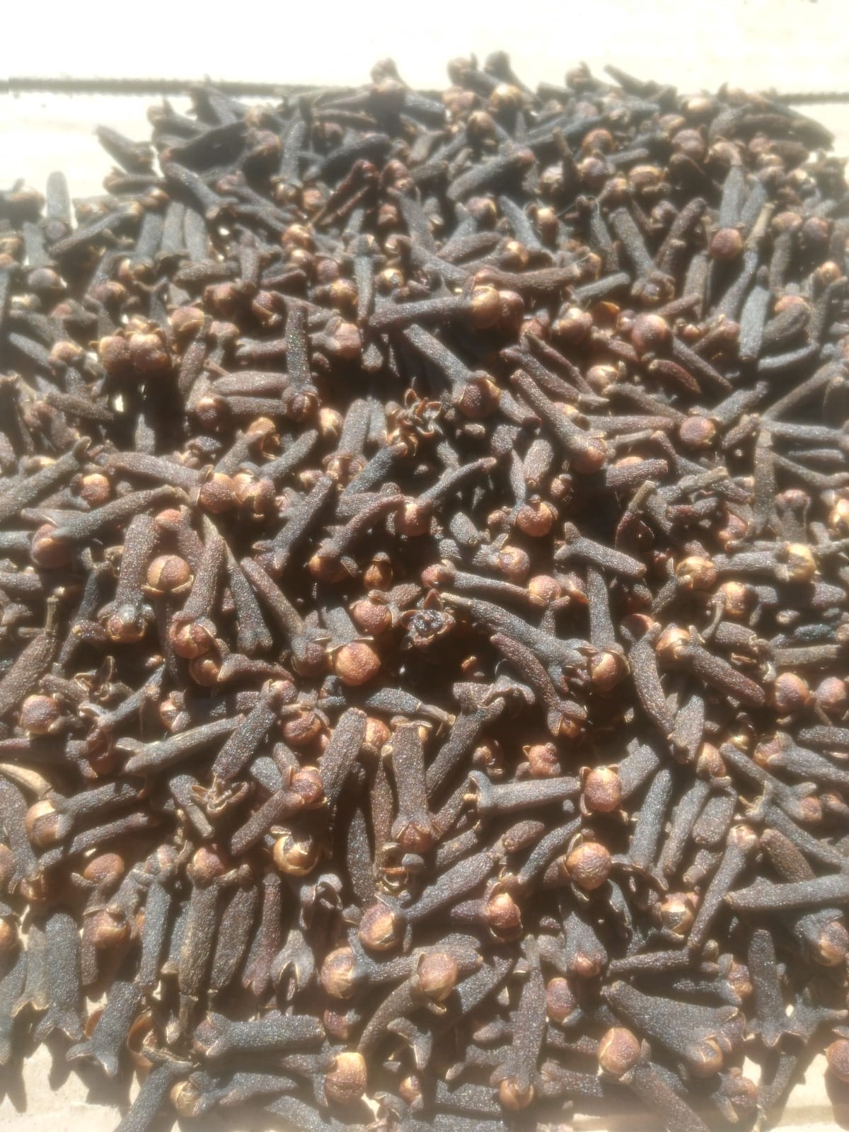 Whole Brown Clove